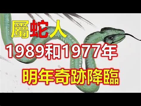 1989什么蛇|1989年的屬蛇人是什麼命？什麼年齡開始享福？特別准！